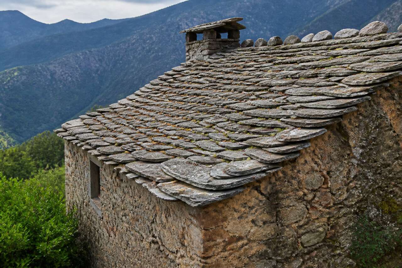 Lauze Corse : caractéristiques et Utilisations